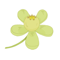 flor de la caoba