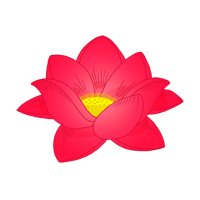 indian lotus
