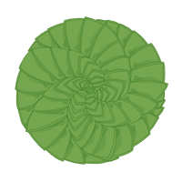 spiral aloe
