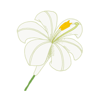 stylised lily